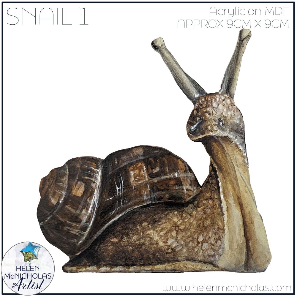 SNAIL 1