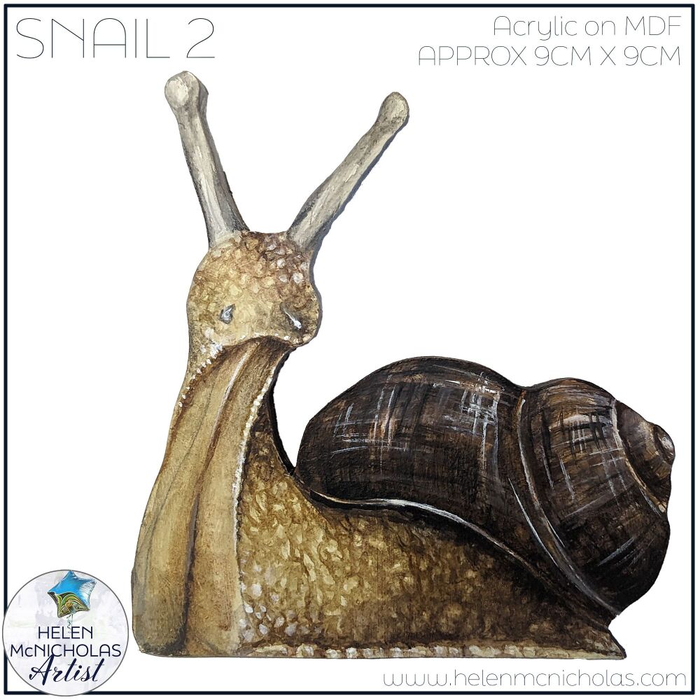 SNAIL 2