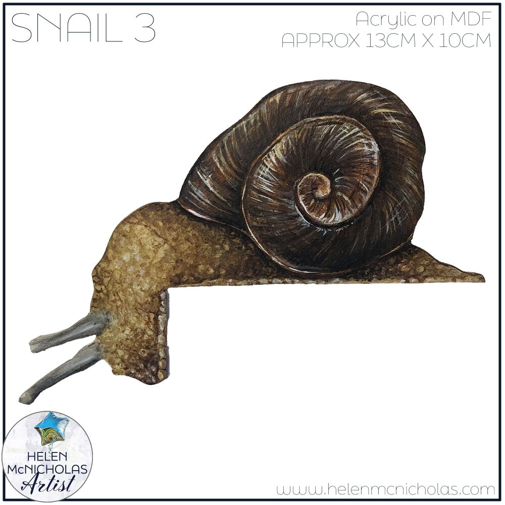 SNAIL 3