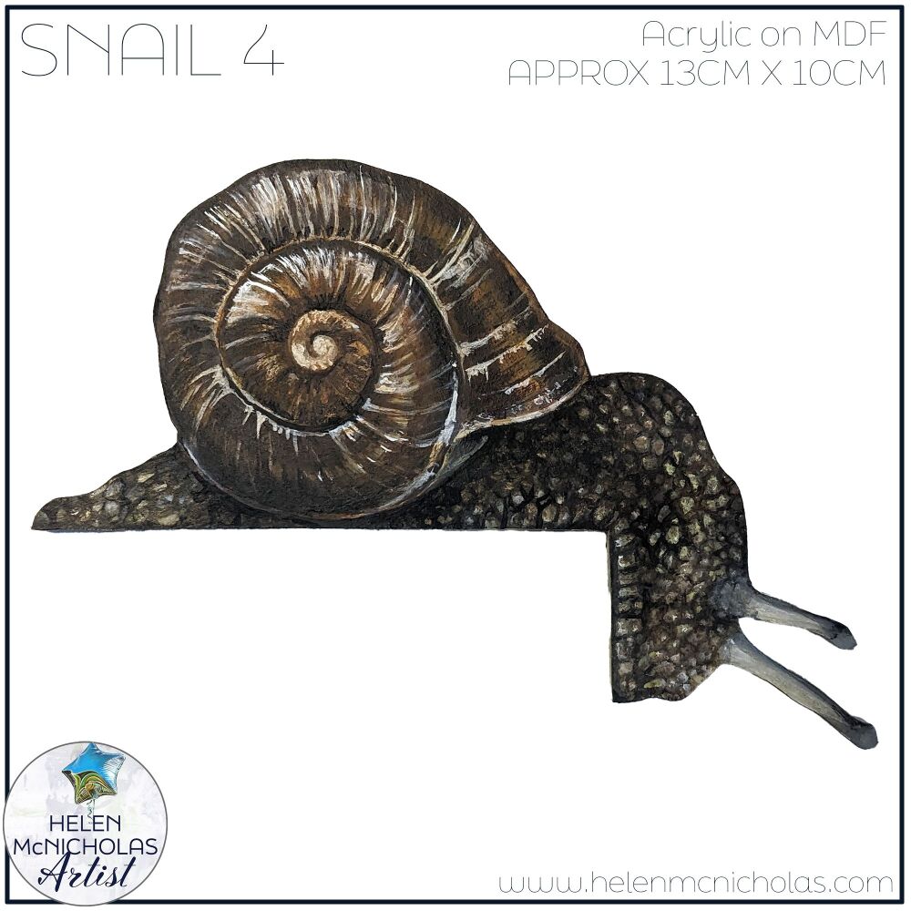 SNAIL 4