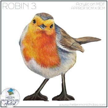 ROBIN 3