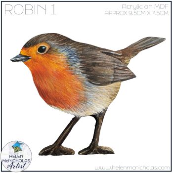 ROBIN 1