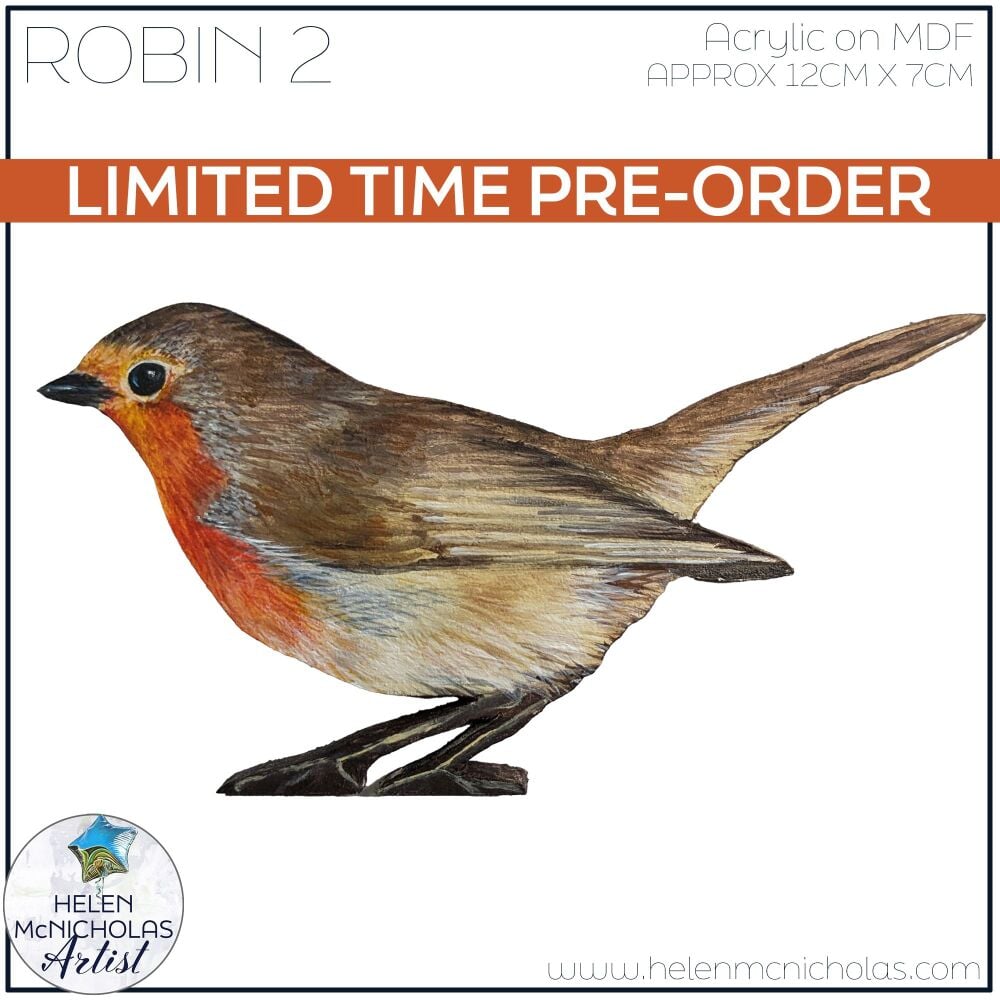 PRE-ORDER ROBIN 2