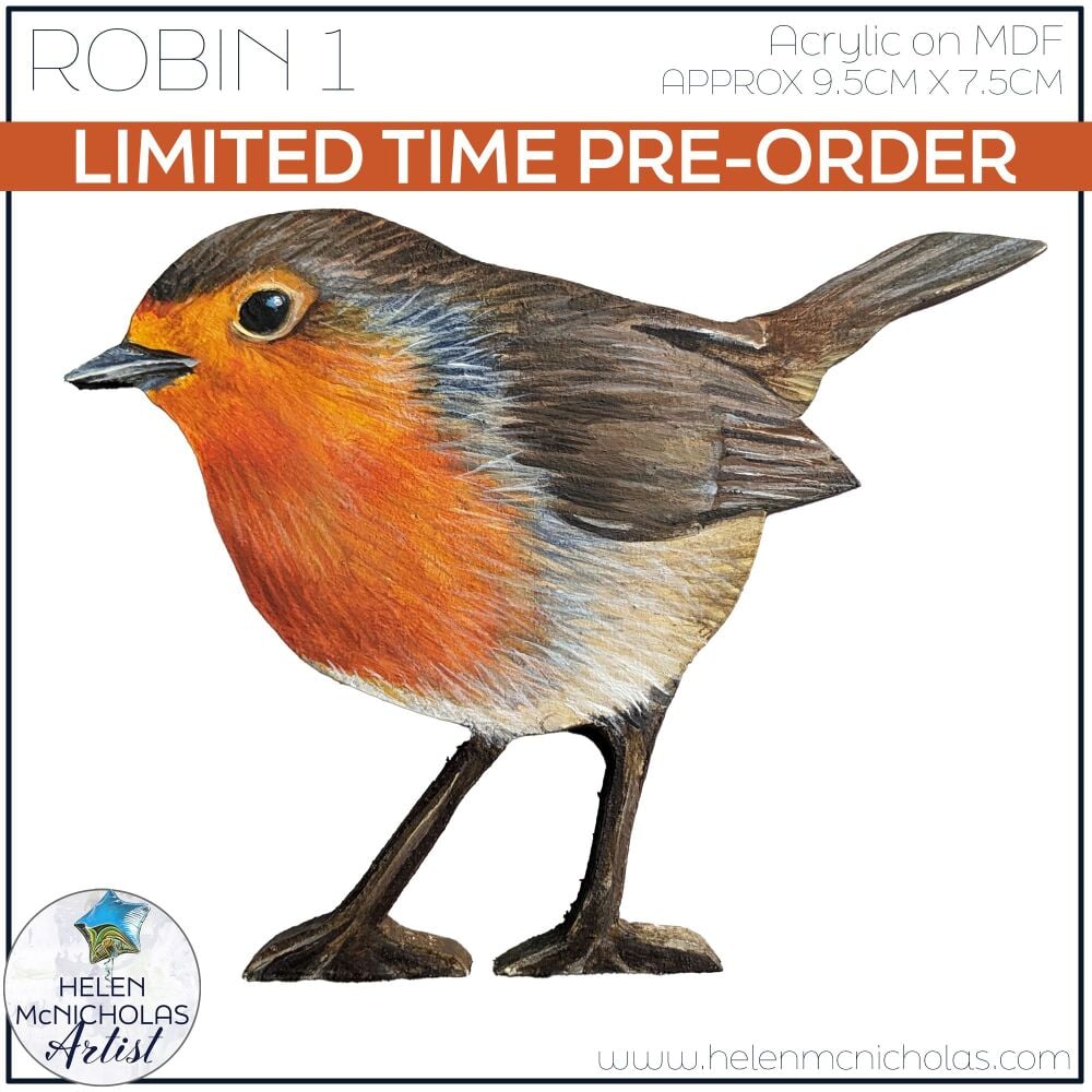 PRE-ORDER ROBIN 1