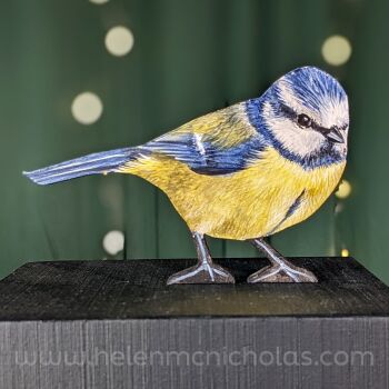 BLUE TIT 3