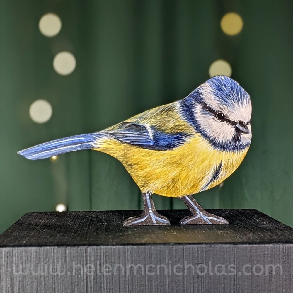 BLUE TIT 2