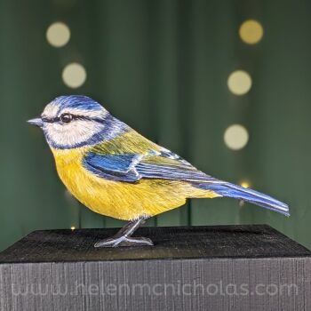 BLUE TIT 1