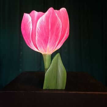 TULIP 2