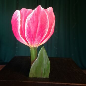 TULIP 3