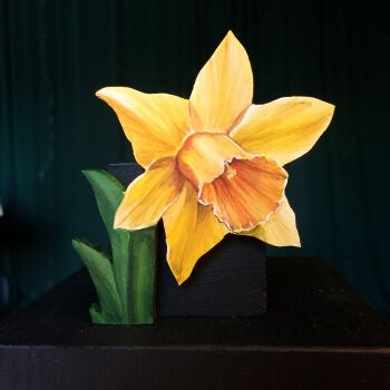 DAFFODIL 1
