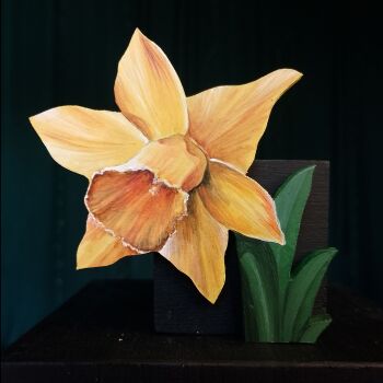 DAFFODIL 2