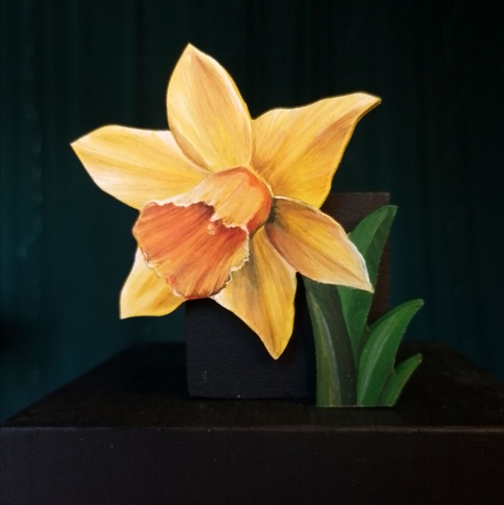 DAFFODIL 3