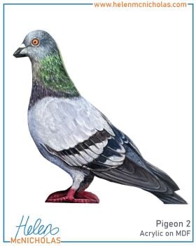 PIGEON 2