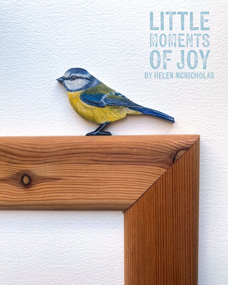 BLUE TIT 1
