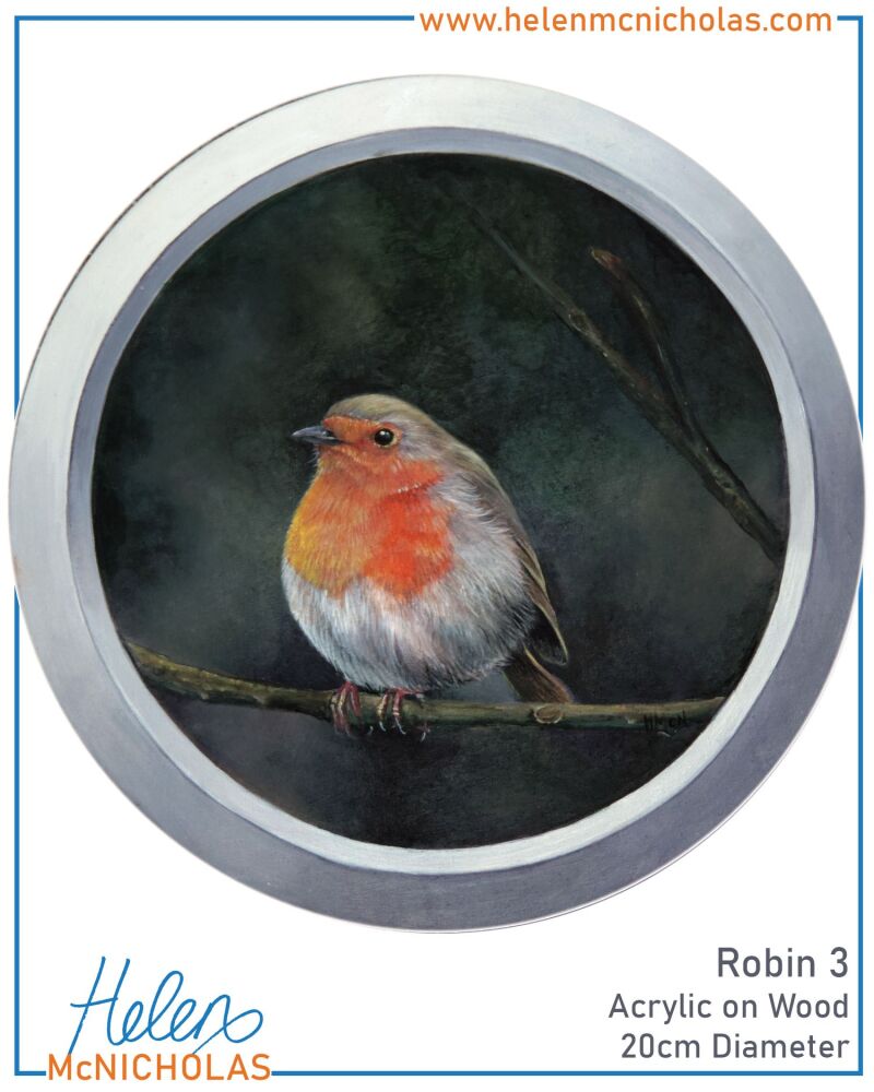 ORIGINAL PAINTING - ROBIN 3