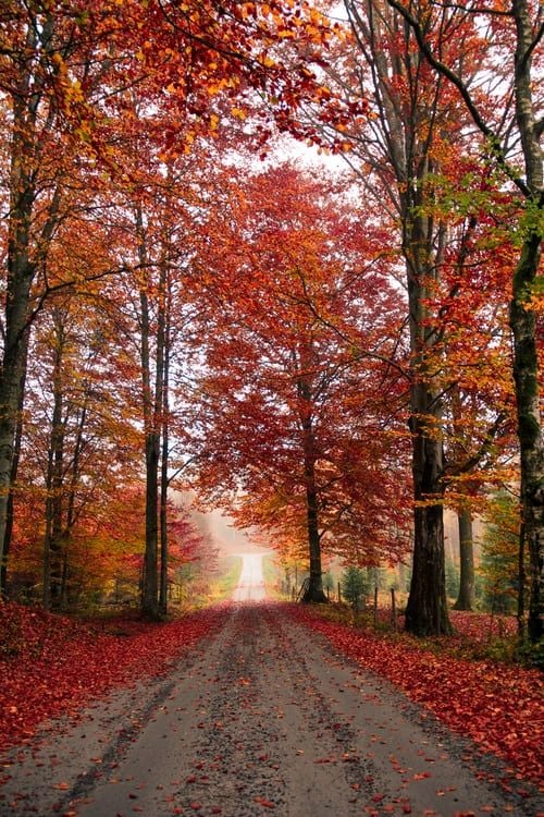 Autumn at Head Forward Centre Manchester