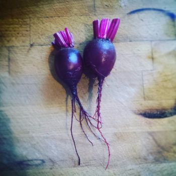 Beetroot 'Boltardy' Seeds