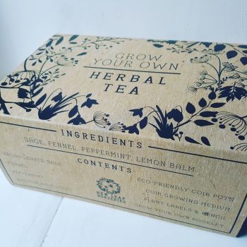 Grow Your Own Herbal Tea Kit