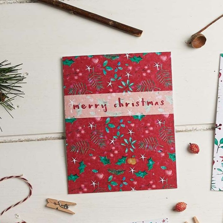 Christmas Leaves (Red) Merry Christmas Card by Hannah Marchant