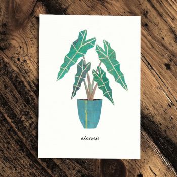 Botanics Card - Alocasia by Paperwhale