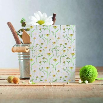 Chamomile Flowers Card by Hannah Marchant