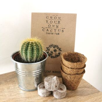Grow Your Own Cactus Starter Pack