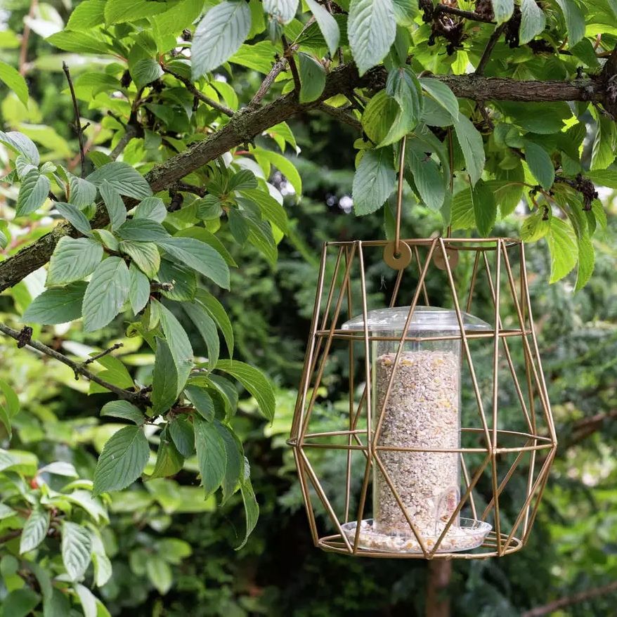 Aura Bird Feeder by Gardman