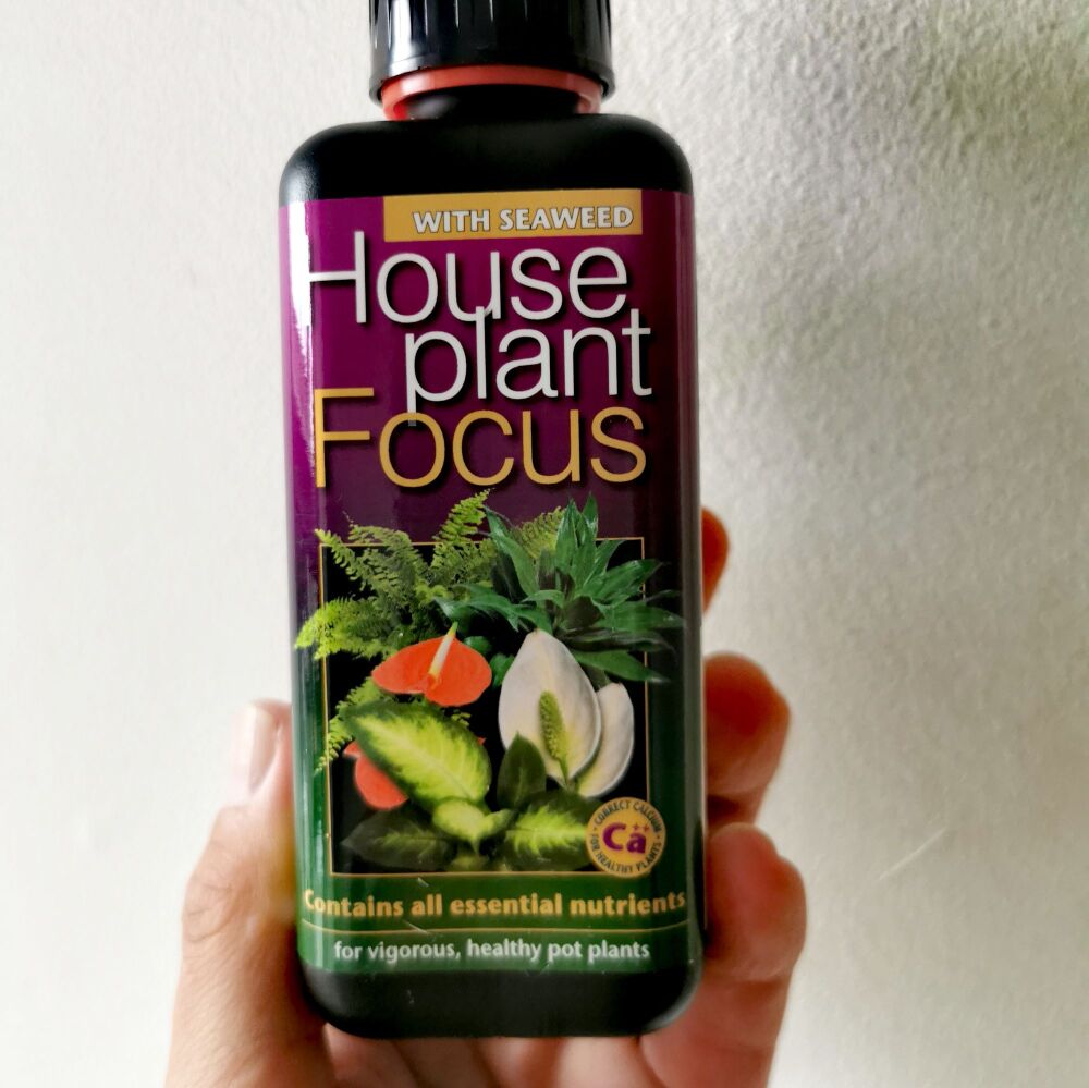 House Plant Focus Liquid Plant Food With Seaweed