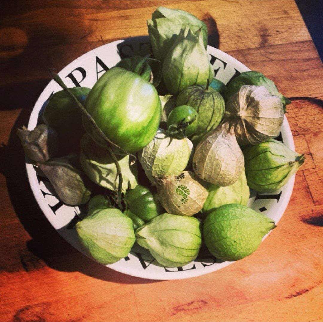 Tomatillo, Verde Seeds