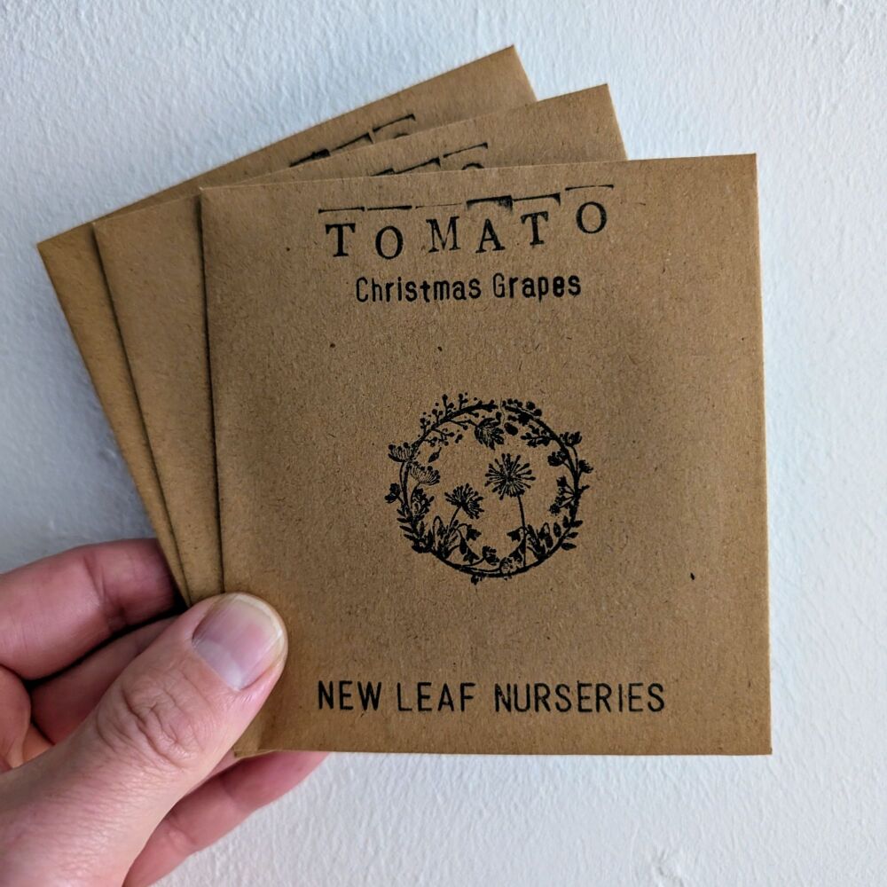 Tomato 'Christmas Grapes' Seeds