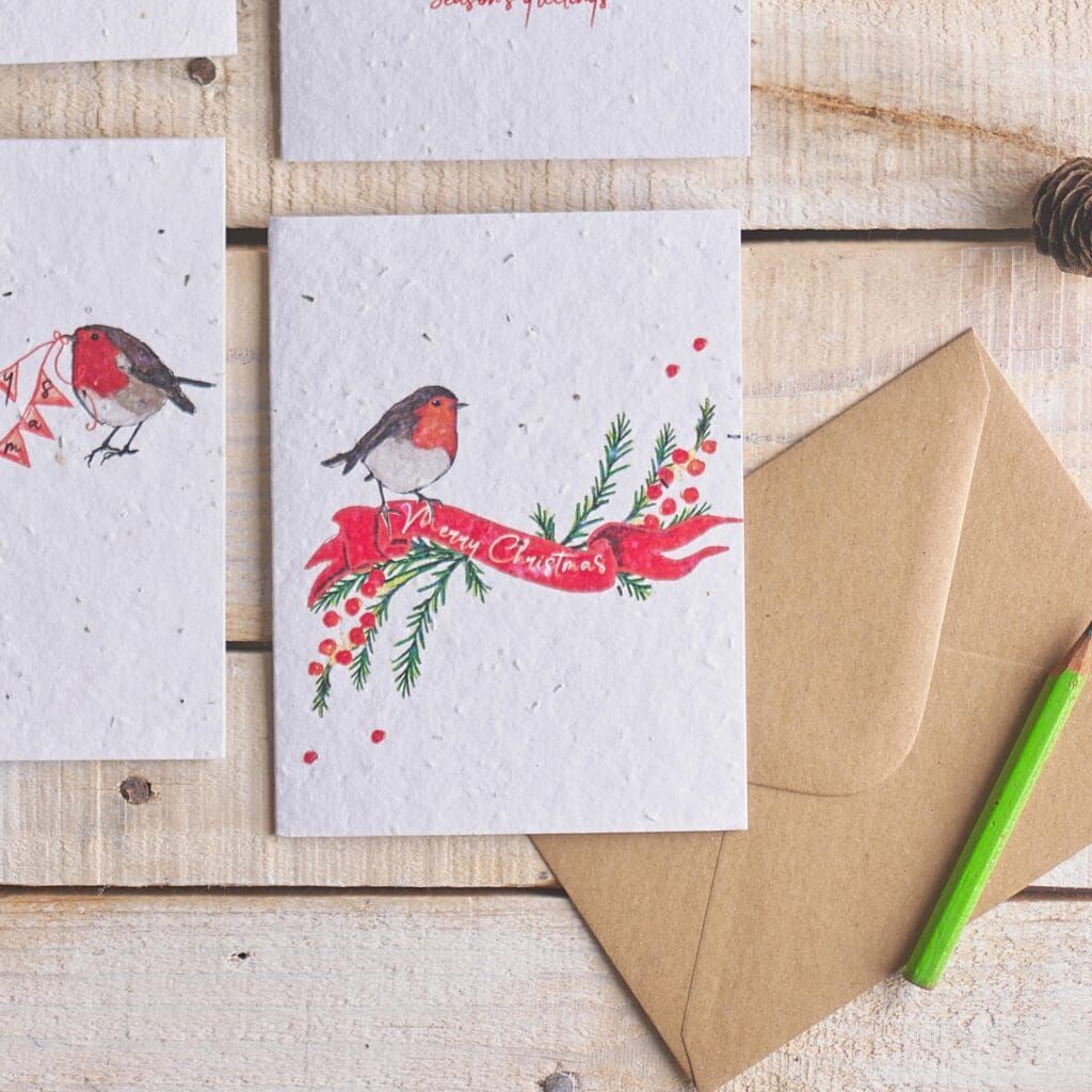 Robin - Merry Christmas Card by Hannah Marchant