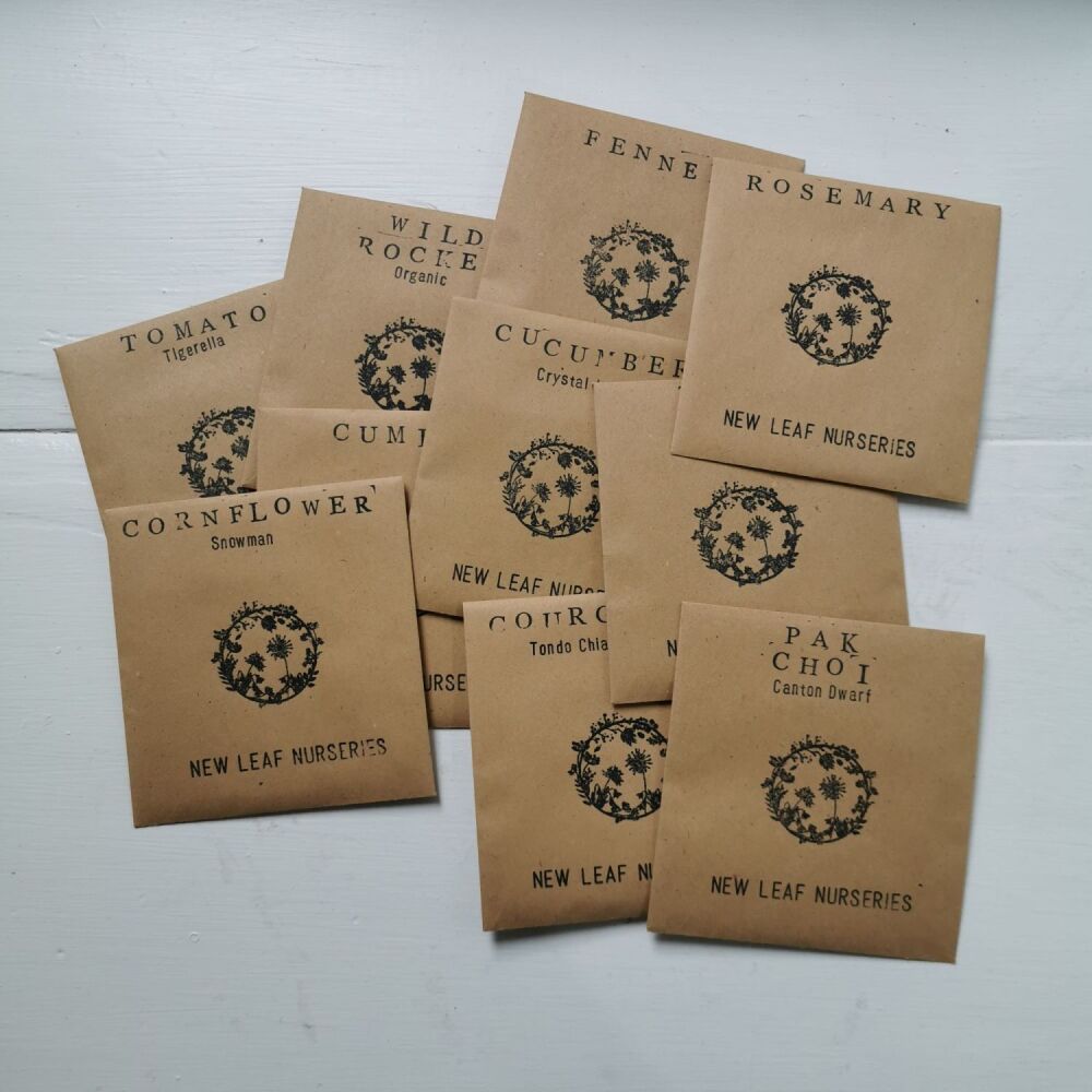 Seeds, Twine, Plant Labels and Plantable Card Gift Set