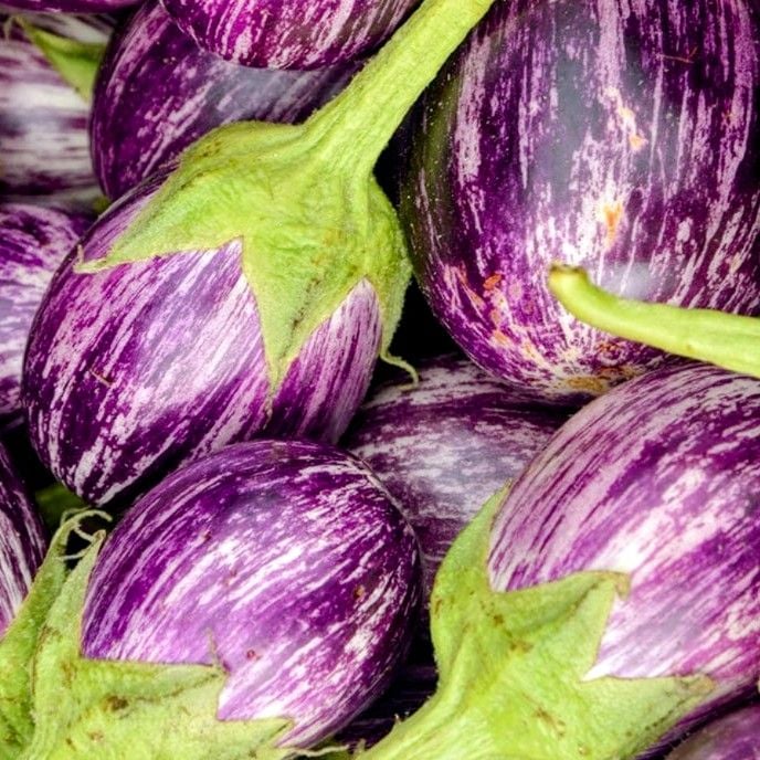 Aubergine 'Listada de Gandia' Seeds