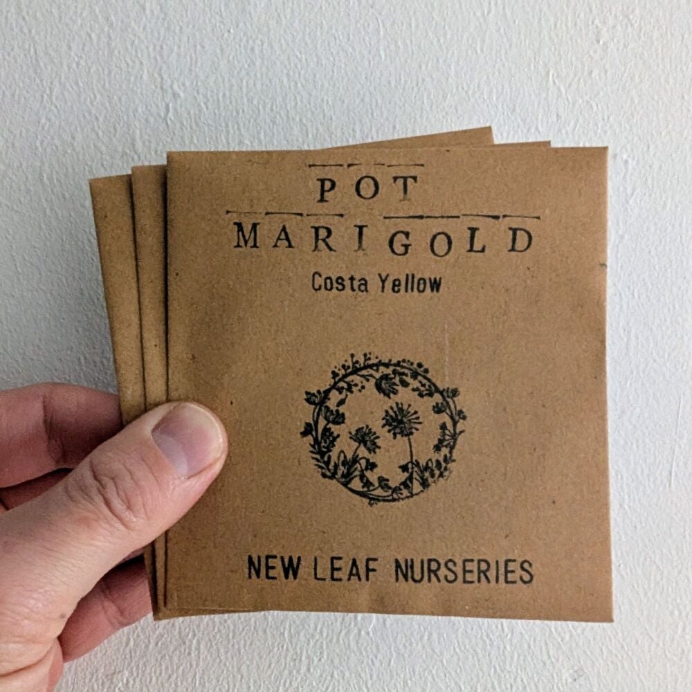 Pot Marigold 'Costa Yellow' Seeds