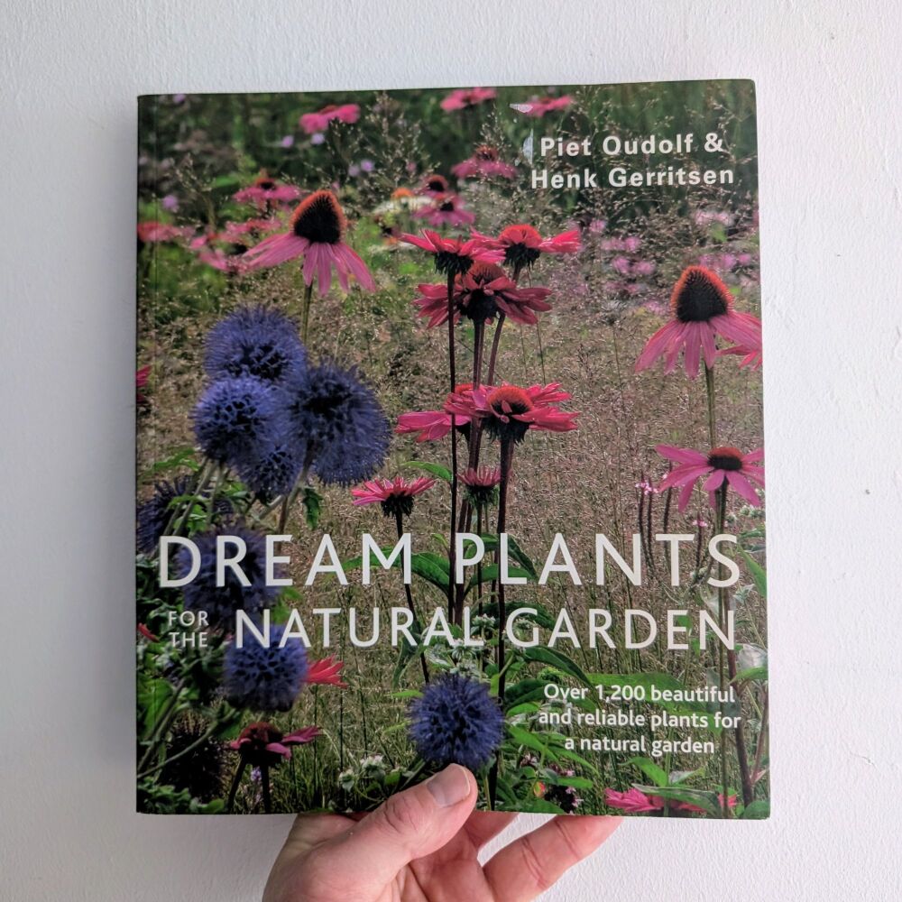 Dream Plants for the Natural Garden by Piet Oudolf and Henk Gerritsen