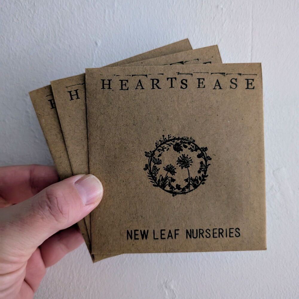 Heartsease (Wild Pansy) Seeds