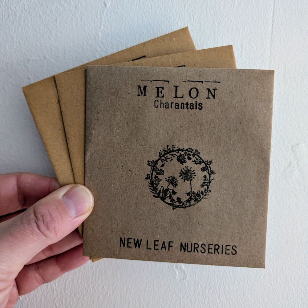Melon 'Charantais' Seeds