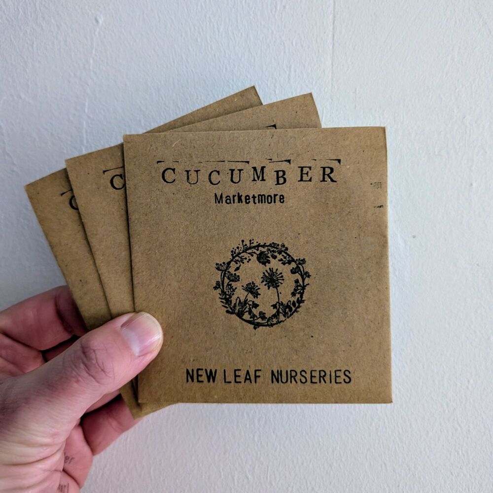 Cucumber 'Marketmore' Seeds (Organically Grown) *New For 2025*