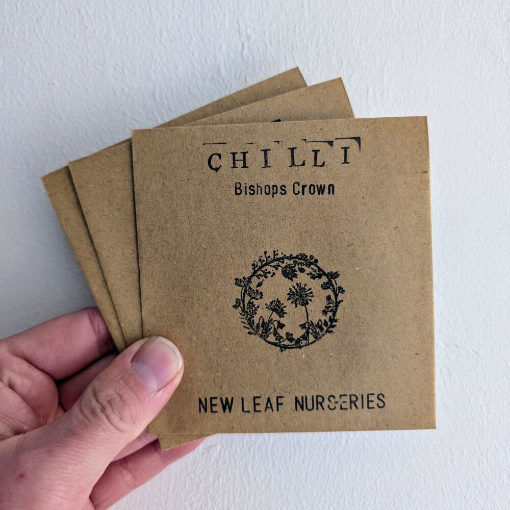 Chilli 'Bishops Crown' Seeds  *New For 2025*