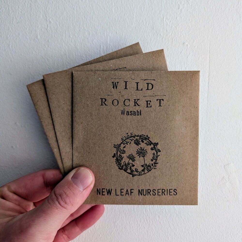 Rocket, Wild 'Wasabi Seeds