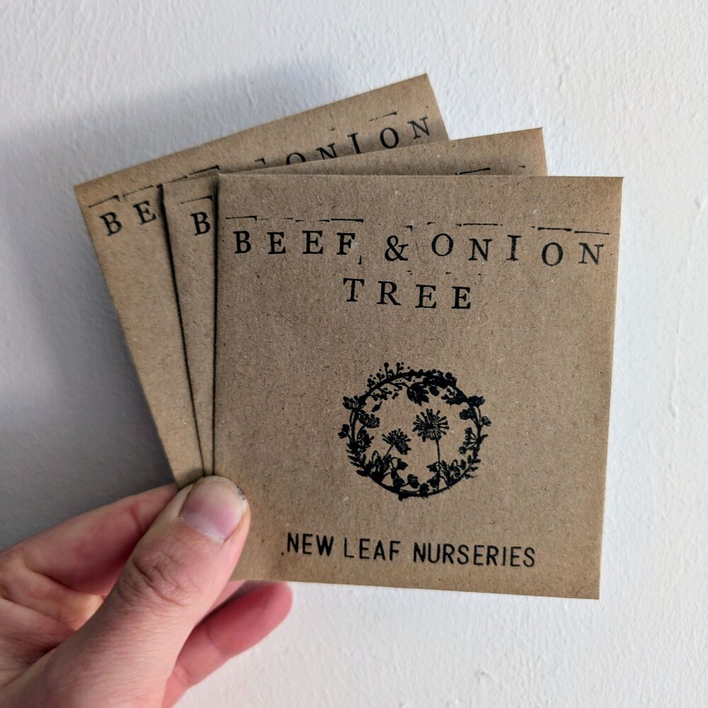 Beef and Onion Tree Seeds
