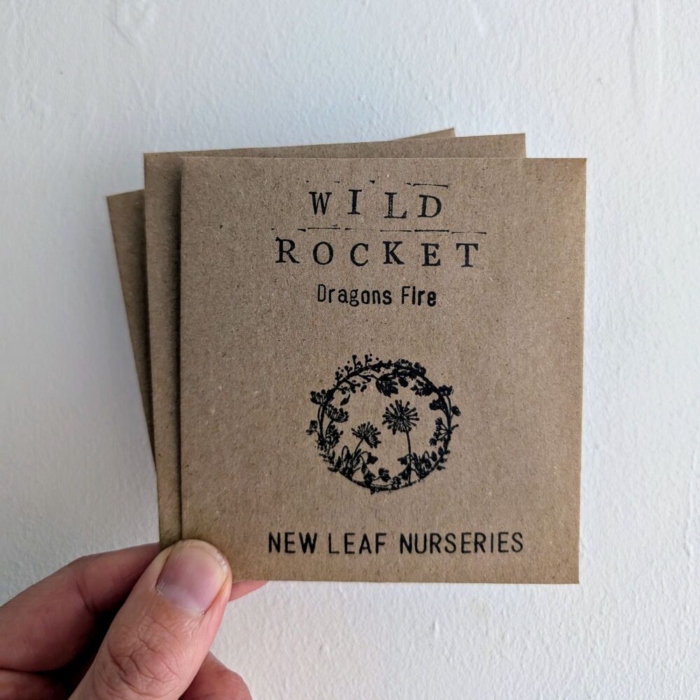Rocket, Wild 'Dragon's Fire' Seeds