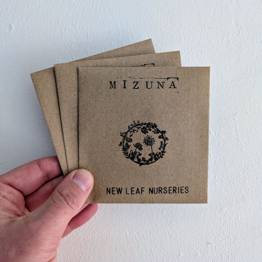 Mizuna Seeds
