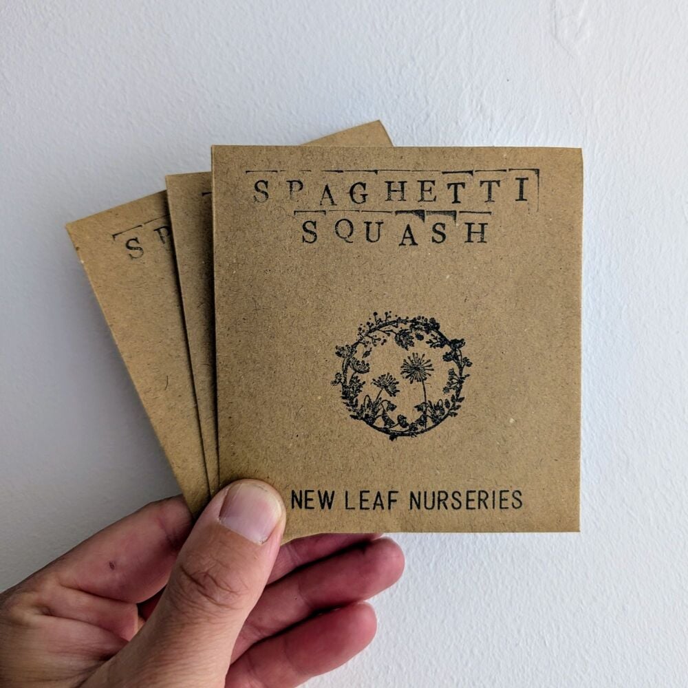 Squash, Spaghetti Seeds