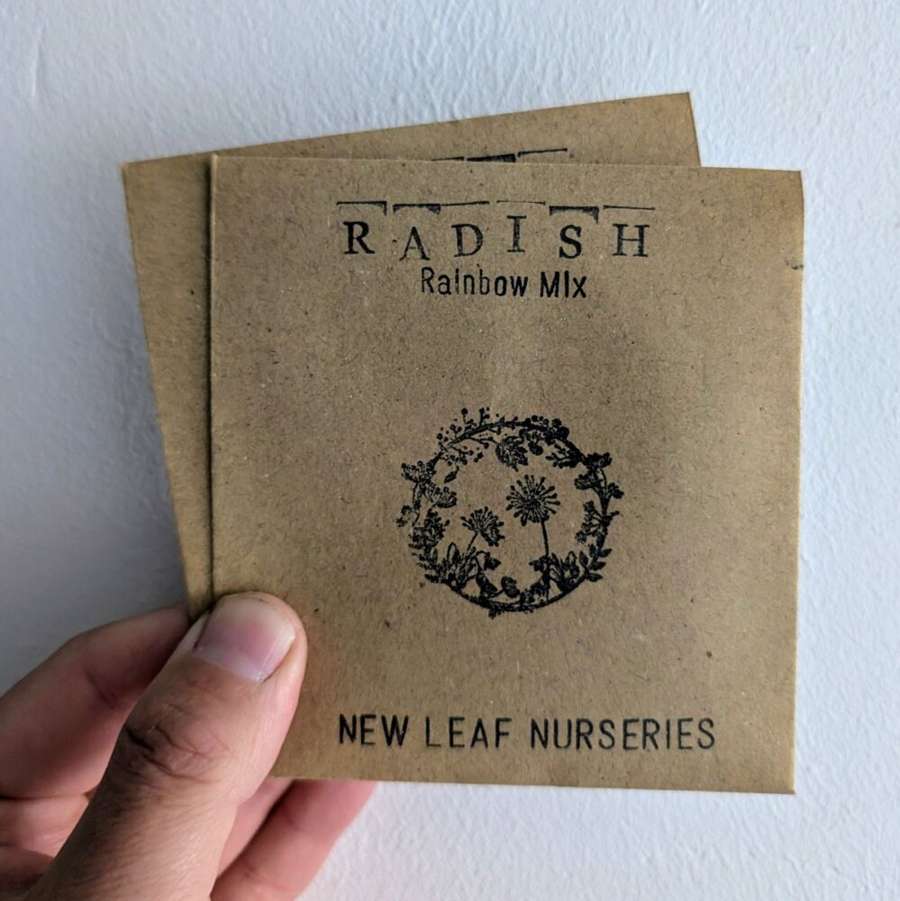 Radish 'Rainbow Mix' Seeds