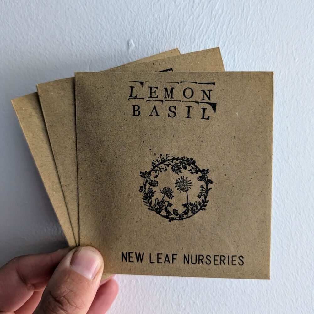 Basil, Lemon Seeds