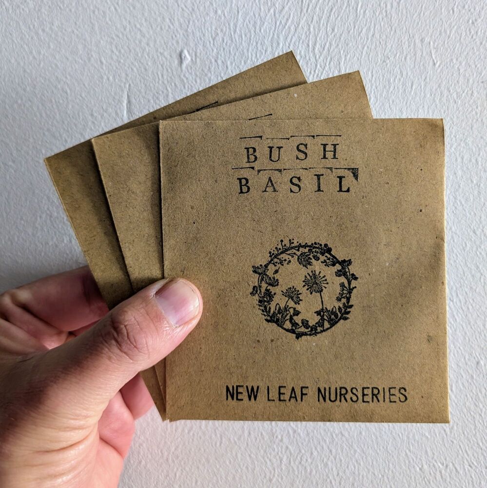 Basil 'Bush' Seeds