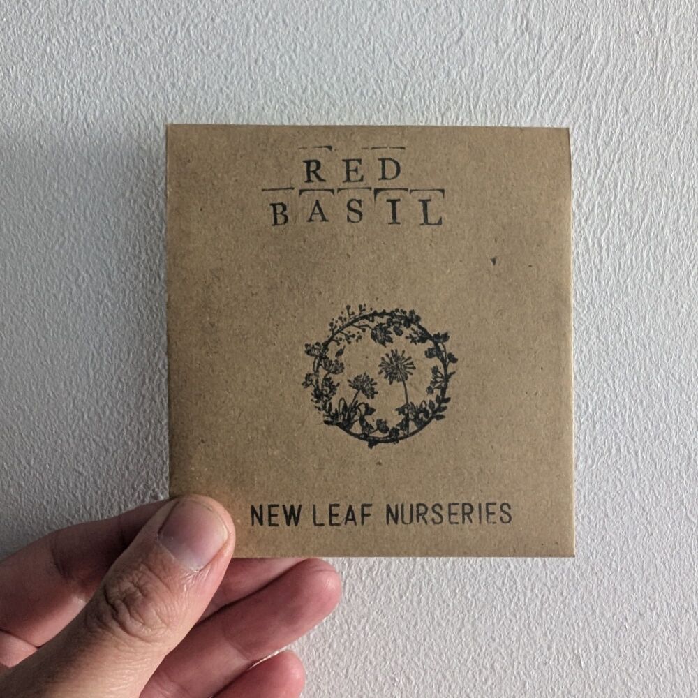 Basil, Red Seeds