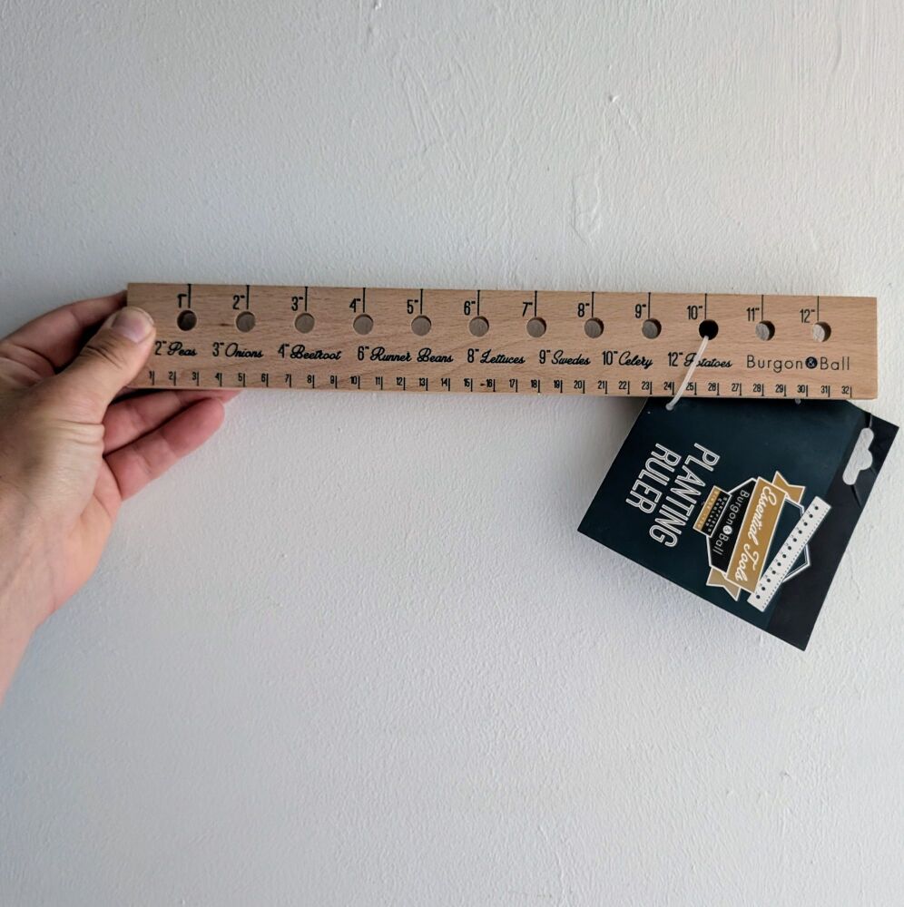 Wooden Planting Ruler by Burgon and Ball