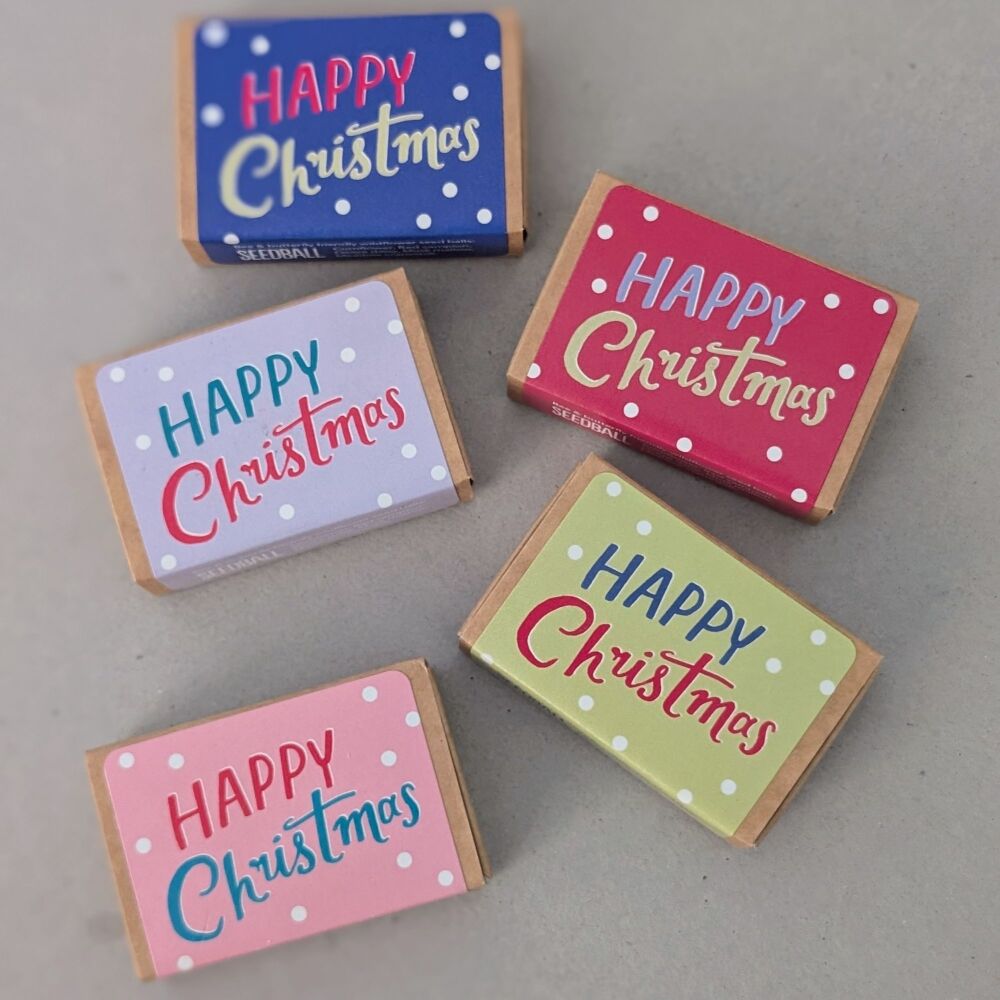 Seedball Christmas Box